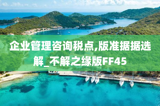 企业管理咨询税点,版准据据选解_不解之缘版FF45