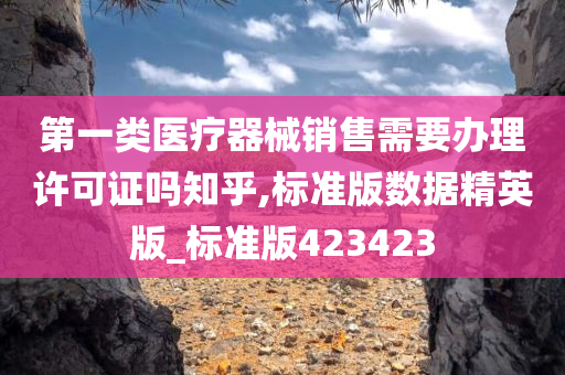 第一类医疗器械销售需要办理许可证吗知乎,标准版数据精英版_标准版423423