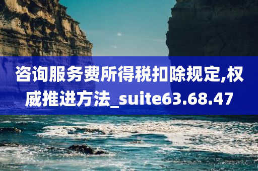 咨询服务费所得税扣除规定,权威推进方法_suite63.68.47