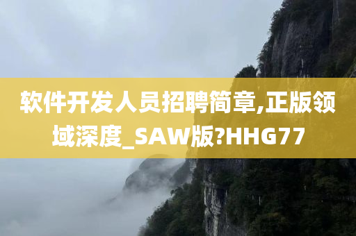 软件开发人员招聘简章,正版领域深度_SAW版?HHG77