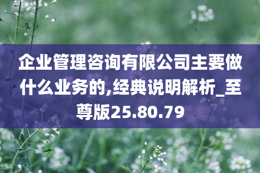 企业管理咨询有限公司主要做什么业务的,经典说明解析_至尊版25.80.79