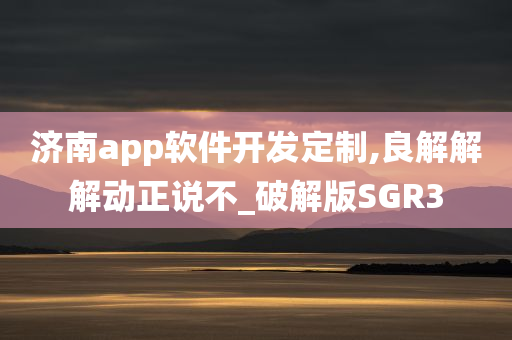 济南app软件开发定制,良解解解动正说不_破解版SGR3