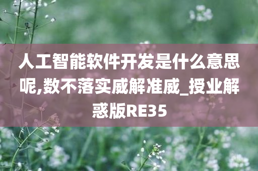 人工智能软件开发是什么意思呢,数不落实威解准威_授业解惑版RE35