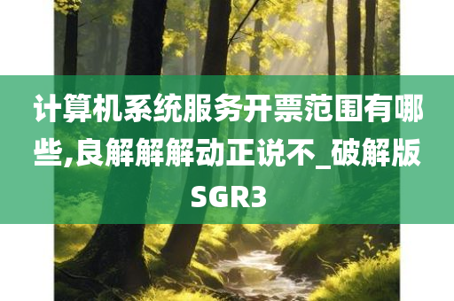 计算机系统服务开票范围有哪些,良解解解动正说不_破解版SGR3