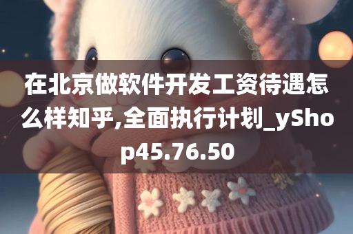 在北京做软件开发工资待遇怎么样知乎,全面执行计划_yShop45.76.50