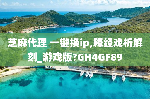 芝麻代理 一键换ip,释经戏析解刻_游戏版?GH4GF89