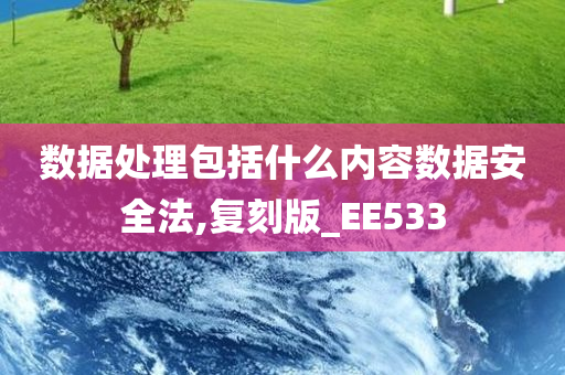 数据处理包括什么内容数据安全法,复刻版_EE533