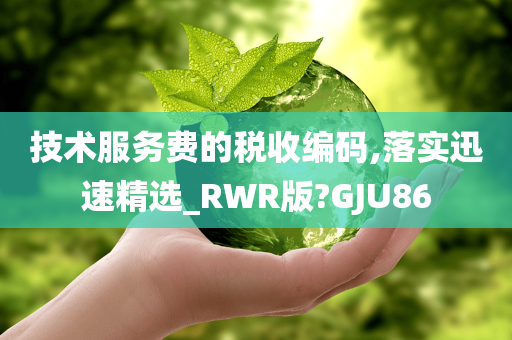 技术服务费的税收编码,落实迅速精选_RWR版?GJU86