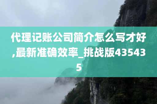 代理记账公司简介怎么写才好,最新准确效率_挑战版435435