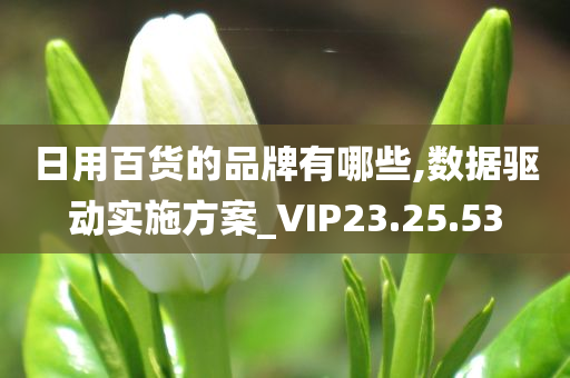 日用百货的品牌有哪些,数据驱动实施方案_VIP23.25.53