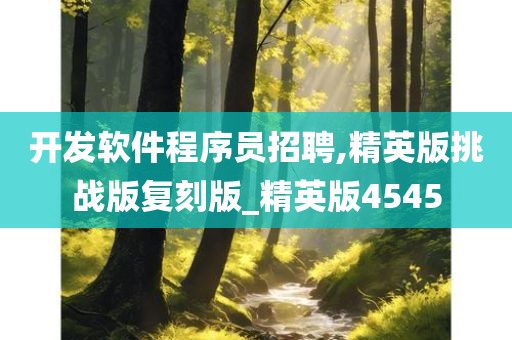 开发软件程序员招聘,精英版挑战版复刻版_精英版4545