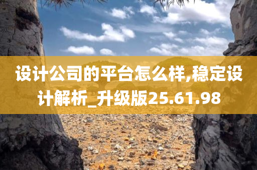 设计公司的平台怎么样,稳定设计解析_升级版25.61.98