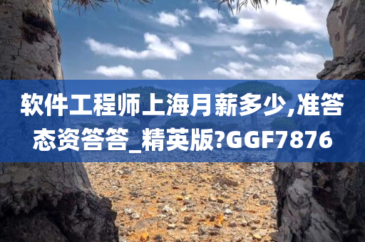 软件工程师上海月薪多少,准答态资答答_精英版?GGF7876