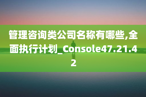 管理咨询类公司名称有哪些,全面执行计划_Console47.21.42