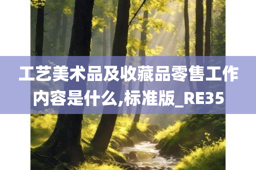 工艺美术品及收藏品零售工作内容是什么,标准版_RE35