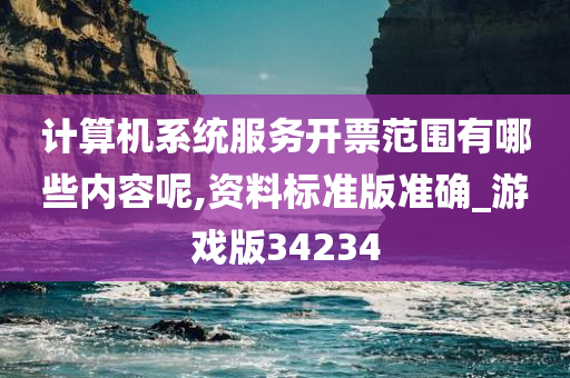 计算机系统服务开票范围有哪些内容呢,资料标准版准确_游戏版34234