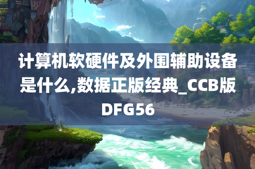 计算机软硬件及外围辅助设备是什么,数据正版经典_CCB版DFG56