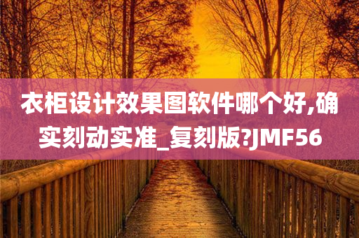 衣柜设计效果图软件哪个好,确实刻动实准_复刻版?JMF56