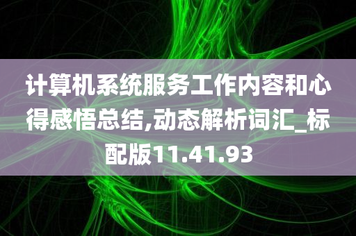 计算机系统服务工作内容和心得感悟总结,动态解析词汇_标配版11.41.93