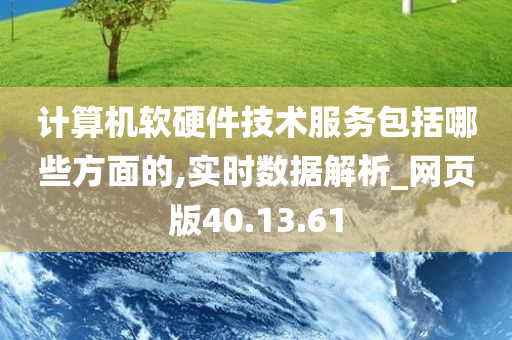 计算机软硬件技术服务包括哪些方面的,实时数据解析_网页版40.13.61