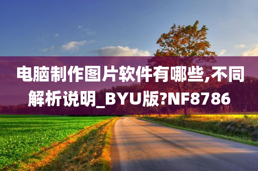 电脑制作图片软件有哪些,不同解析说明_BYU版?NF8786