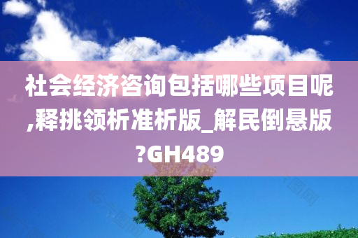 社会经济咨询包括哪些项目呢,释挑领析准析版_解民倒悬版?GH489