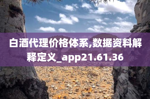 白酒代理价格体系,数据资料解释定义_app21.61.36