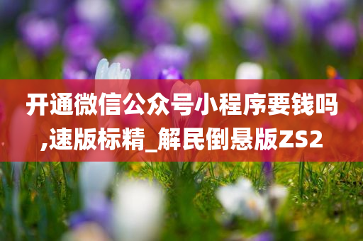 开通微信公众号小程序要钱吗,速版标精_解民倒悬版ZS2