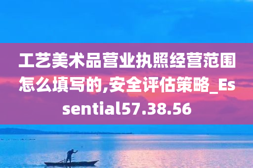 工艺美术品营业执照经营范围怎么填写的,安全评估策略_Essential57.38.56