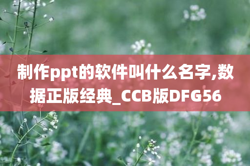 制作ppt的软件叫什么名字,数据正版经典_CCB版DFG56