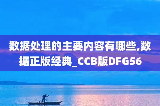 数据处理的主要内容有哪些,数据正版经典_CCB版DFG56