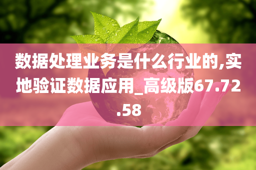 数据处理业务是什么行业的,实地验证数据应用_高级版67.72.58