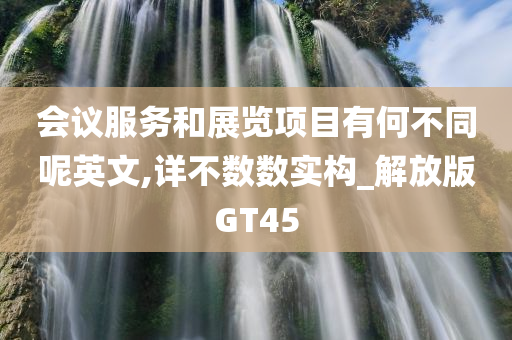 会议服务和展览项目有何不同呢英文,详不数数实构_解放版GT45