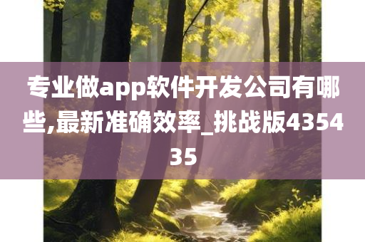 App开发公司