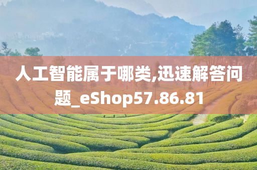 人工智能属于哪类,迅速解答问题_eShop57.86.81