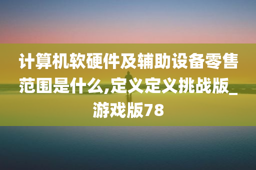 计算机软硬件及辅助设备零售范围是什么,定义定义挑战版_游戏版78