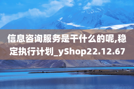 信息咨询服务是干什么的呢,稳定执行计划_yShop22.12.67