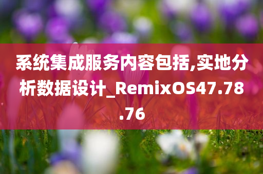 系统集成服务内容包括,实地分析数据设计_RemixOS47.78.76