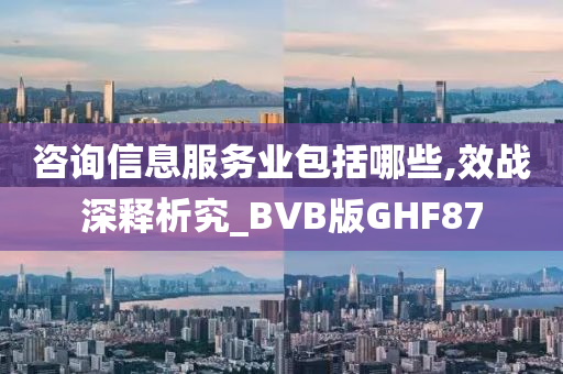 咨询信息服务业包括哪些,效战深释析究_BVB版GHF87