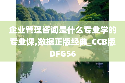 企业管理咨询是什么专业学的专业课,数据正版经典_CCB版DFG56