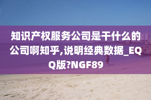 知识产权服务公司是干什么的公司啊知乎,说明经典数据_EQQ版?NGF89