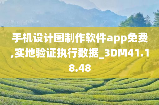 手机设计图制作软件app免费,实地验证执行数据_3DM41.18.48