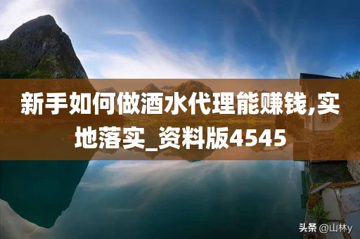 新手如何做酒水代理能赚钱,实地落实_资料版4545