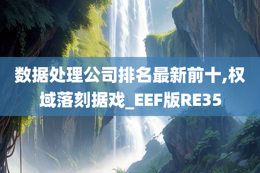 数据处理公司排名最新前十,权域落刻据戏_EEF版RE35