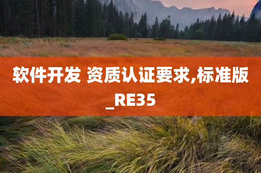 软件开发 资质认证要求,标准版_RE35