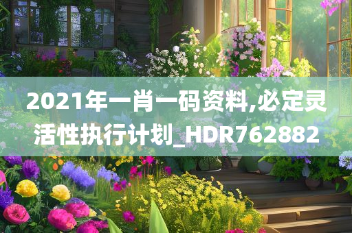 2021年一肖一码资料,必定灵活性执行计划_HDR762882