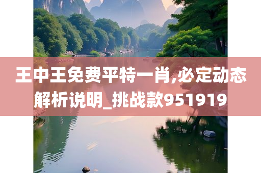 王中王免费平特一肖,必定动态解析说明_挑战款951919