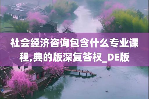 社会经济咨询包含什么专业课程,典的版深复答权_DE版