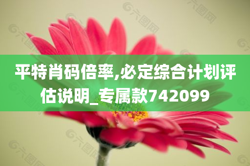 平特肖码倍率,必定综合计划评估说明_专属款742099