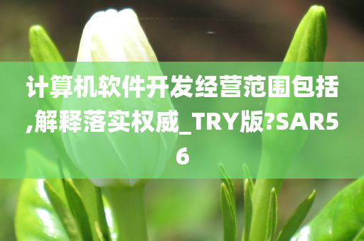 计算机软件开发经营范围包括,解释落实权威_TRY版?SAR56